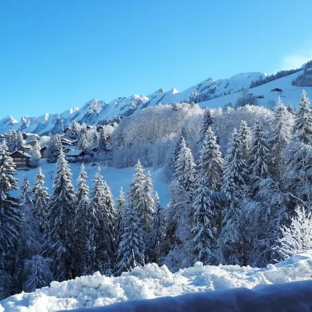Aux Pieds, 2 Chambres, Terrasse Et Parking Couvert - - Fr-1-459-49 La Clusaz